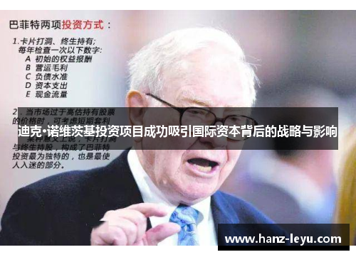 迪克·诺维茨基投资项目成功吸引国际资本背后的战略与影响